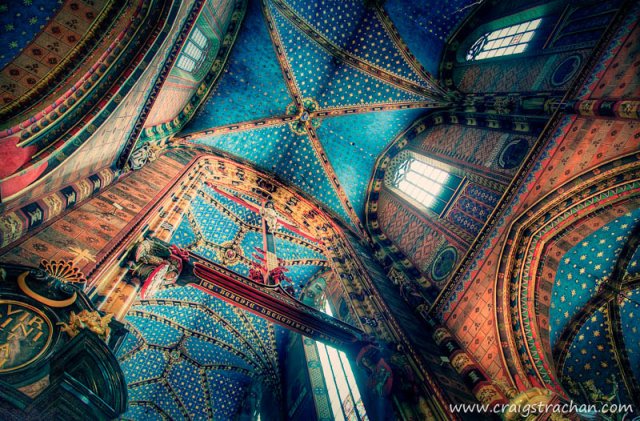 cds-IMG_8816_proc-Edit-2